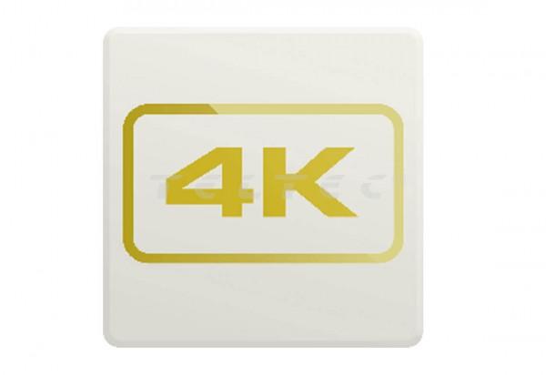 Epiphan Pearl-2 4K Add-on (ESD)