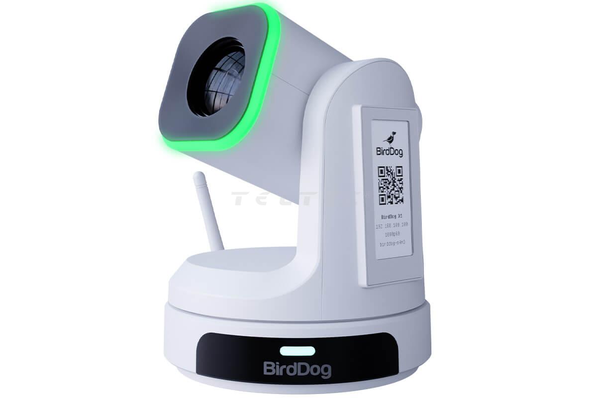 Teltec Camera BirdDog X1 - White | Pan- & Tilt-Cameras | Studio Camera | Camera ...