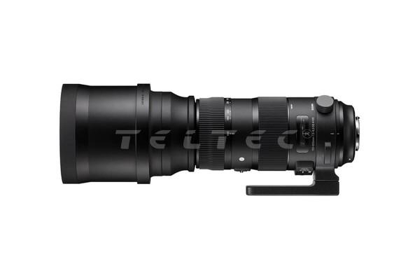 Sigma 150 - 600 mm F5.0-6.3 DG OS HSM | Sports - E-Mount
