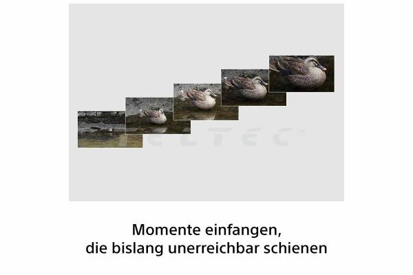12354043_2