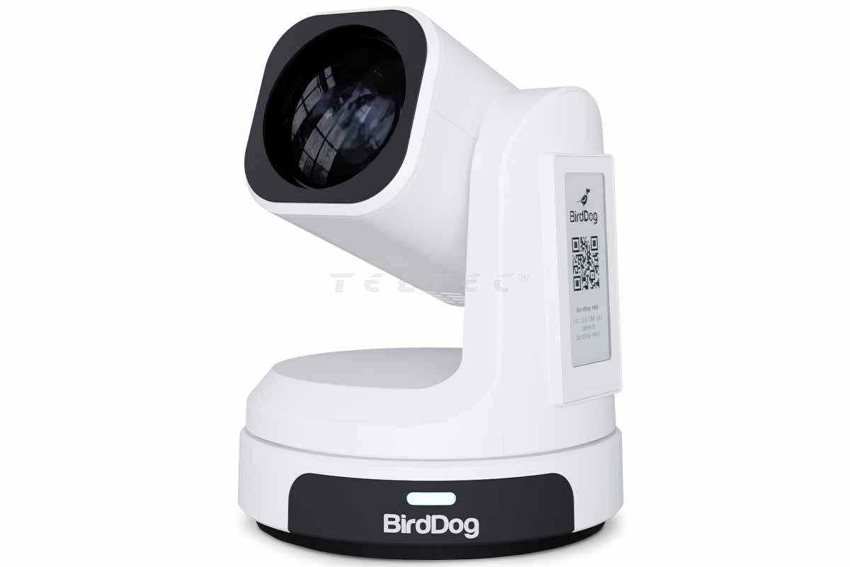 Teltec Camera BirdDog MAX - White | Pan- & Tilt-Cameras | Studio Camera | Camera ...