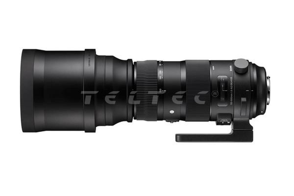 Sigma 150 - 600 mm F5.0-6.3 DG OS HSM | Sports - L-Mount