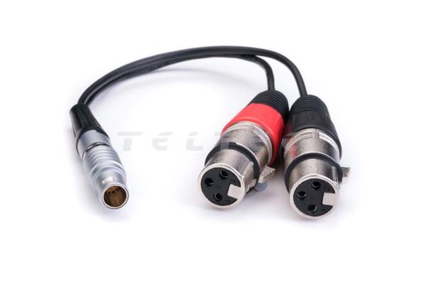 Atomos XLR-Break out Cable