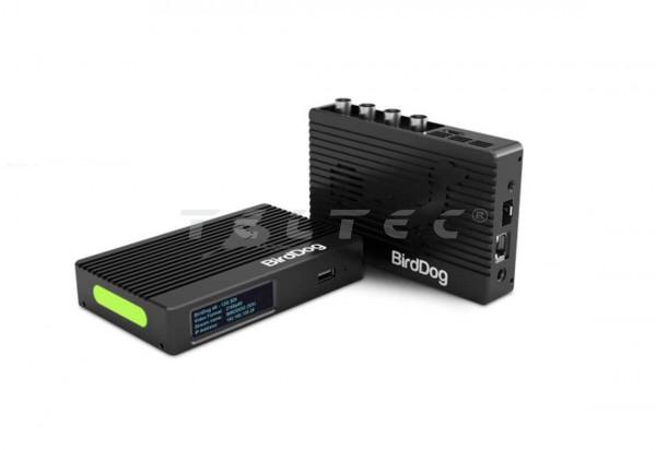 BirdDog 4K Quad