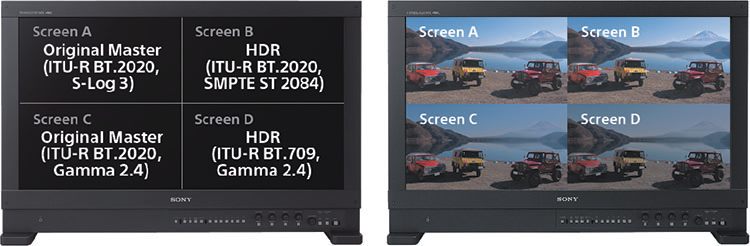 Sony BVM-HX310 Quad-View-Modus